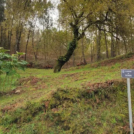Quinta Da Picouta Σπίτι διακοπών *