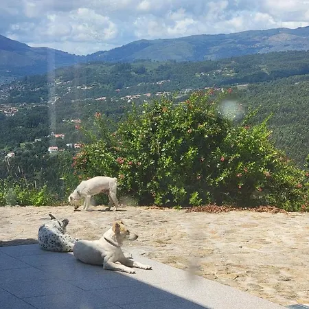 Quinta Da Picouta Σπίτι διακοπών